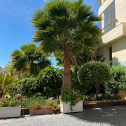 img 20210514 wa0024