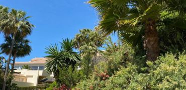 img 20210514 wa0028